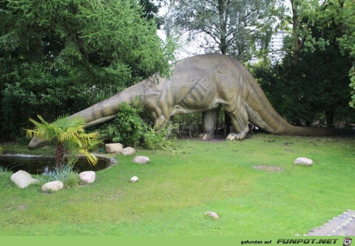 Impressionen aus Hagenbecks Tierpark Teil 9