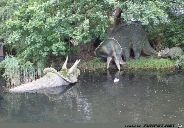 Impressionen aus Hagenbecks Tierpark Teil 9