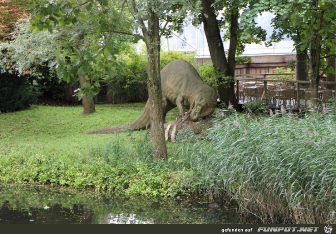 Impressionen aus Hagenbecks Tierpark Teil 9