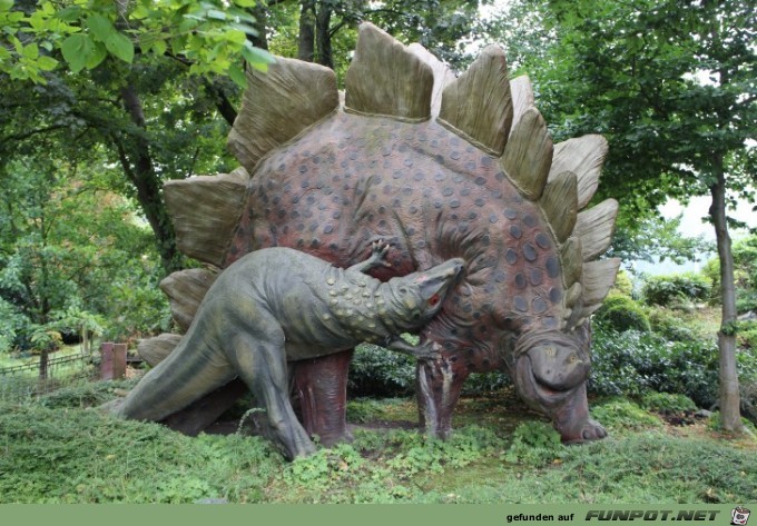 Impressionen aus Hagenbecks Tierpark Teil 9