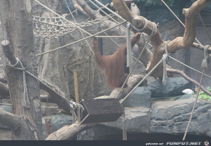 Impressionen aus Hagenbecks Tierpark Teil 9