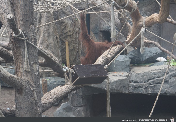 Impressionen aus Hagenbecks Tierpark Teil 9