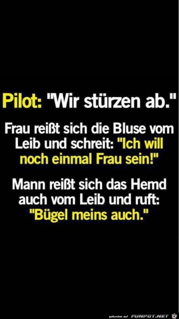 Pilot: