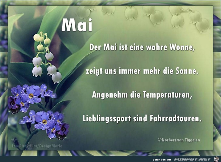 mai 2018