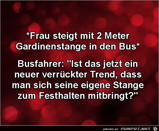 Frau steigt mit 2 Meter Gardinenstange in den Bus,....