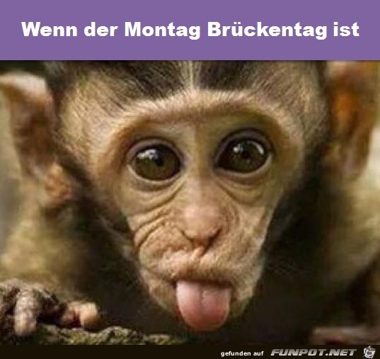 Brückentag Brückentag