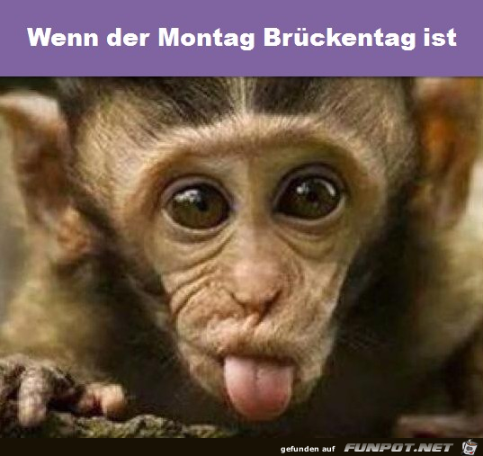Brückentag Brückentag