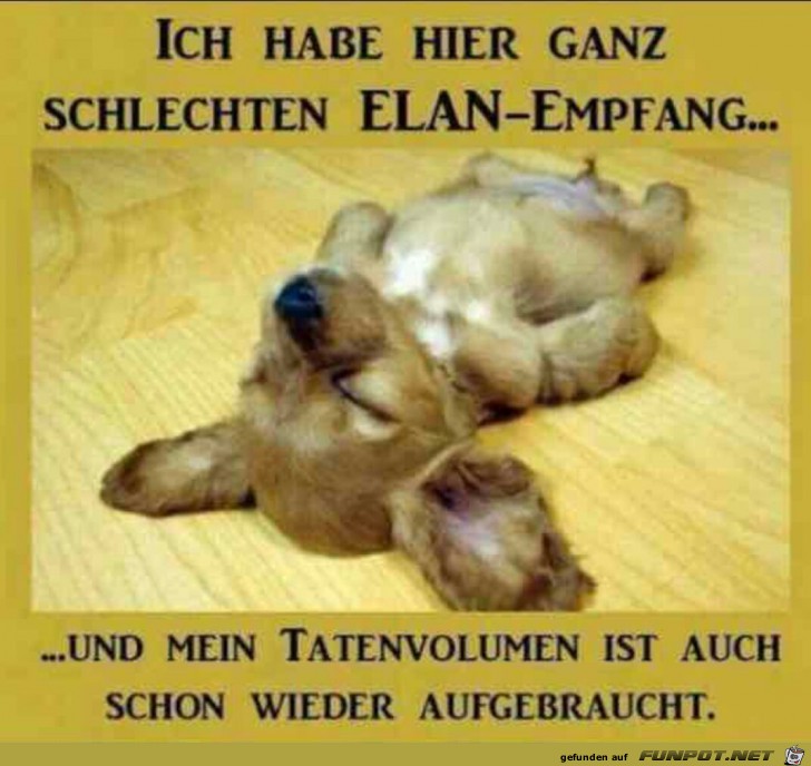 Ich habe hier ganz schlechten... Ich habe hier ganz schlechten...