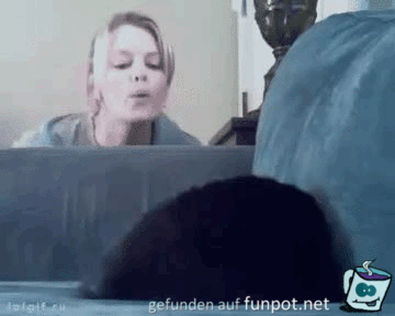 Katze ärgern Katze ärgern