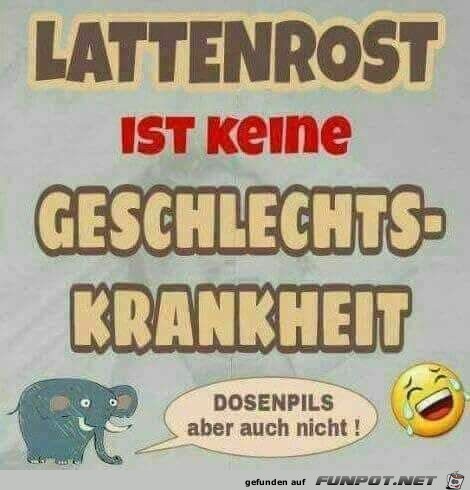 Lattenrost Lattenrost