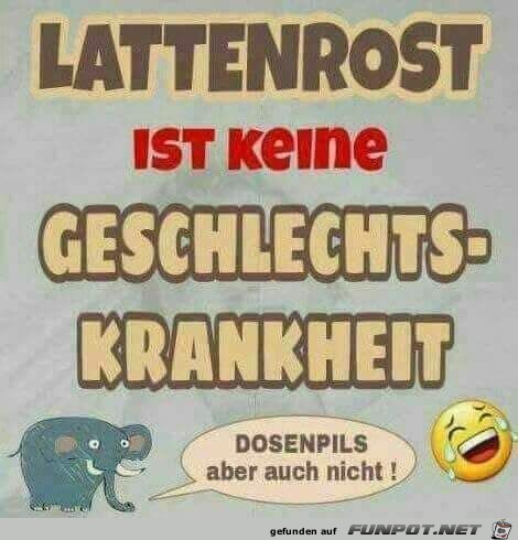 Lattenrost