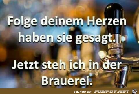Folge deinem Herzen Folge deinem Herzen