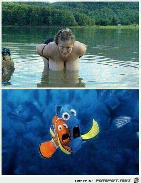 Schock fürs Fischleben Schock fürs Fischleben