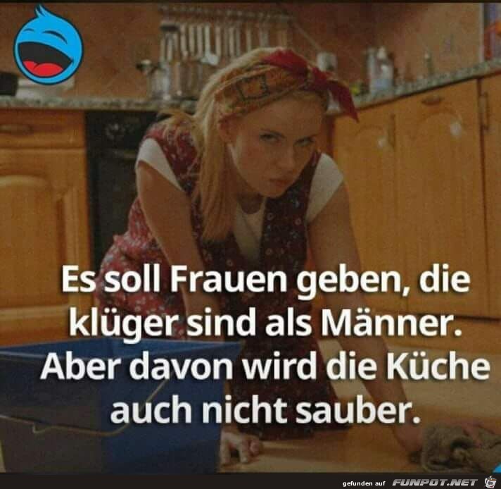 Es gibt Frauen die klger sind als Mnner, aber...