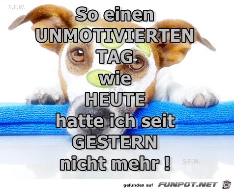 So einen unmotivierten Tag... So einen unmotivierten Tag...