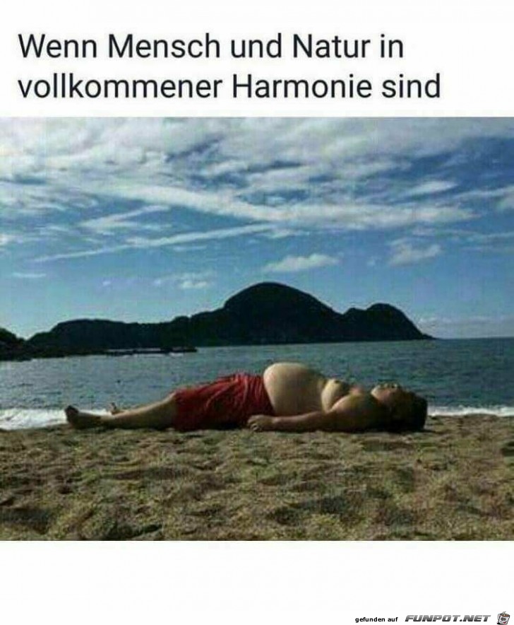 Vollkommene Harmonie