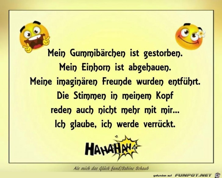 ich glaube ich werde verrückt ich glaube ich werde verrückt