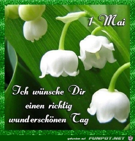 Schönen Tag Schönen Tag