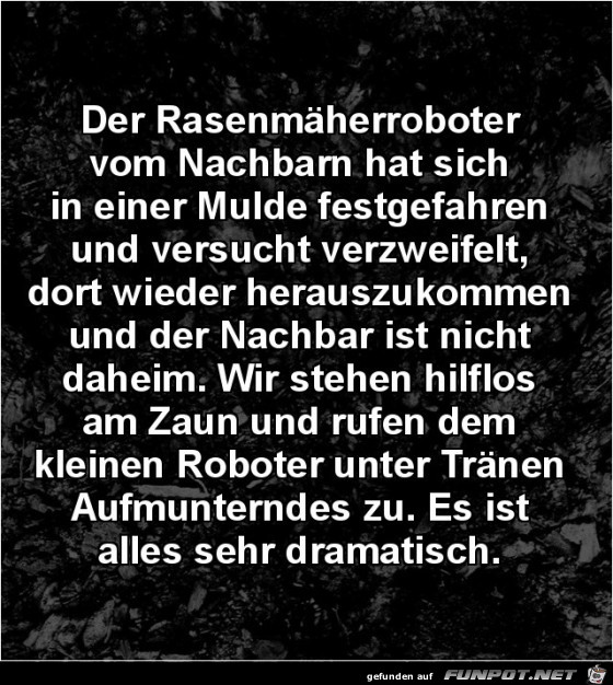 der Rasenmäheroboter....... der Rasenmäheroboter.......