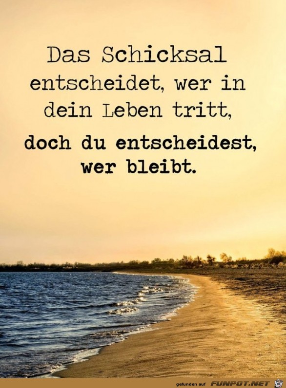 das Schicksal das Schicksal
