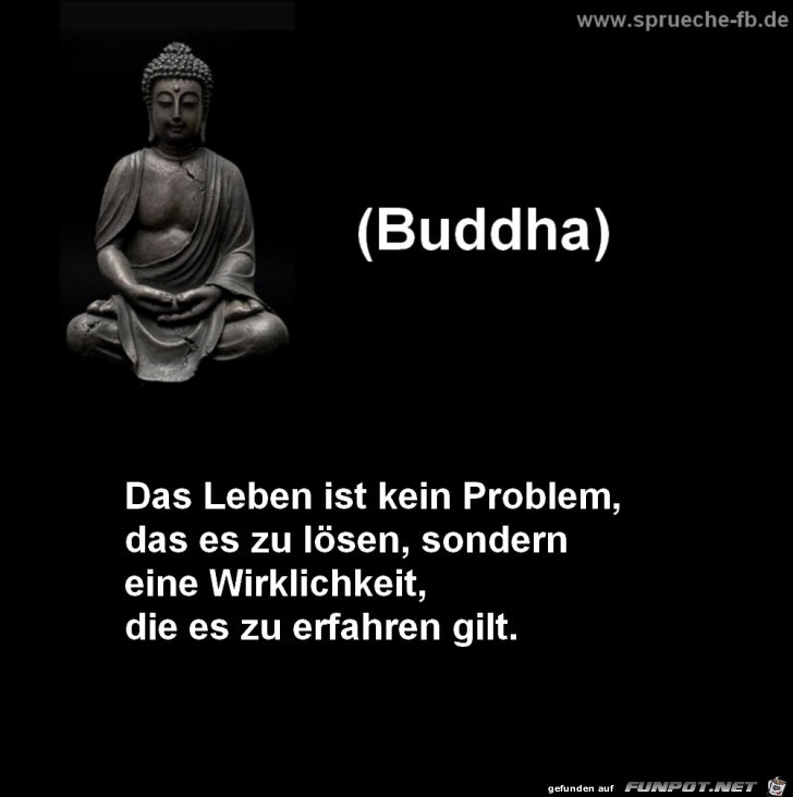 das leben ist kein Problem