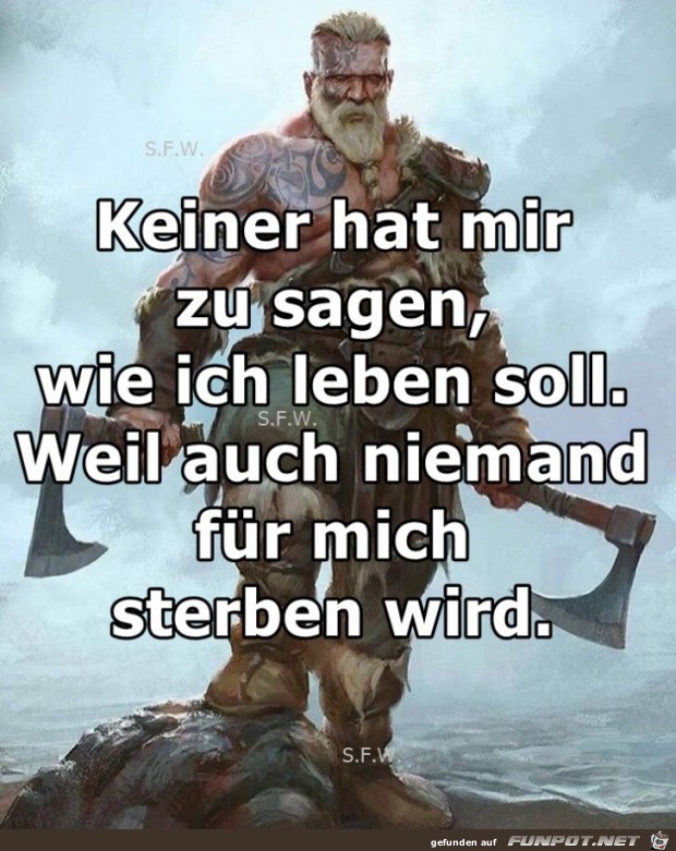 Keiner hat mir zu sagen