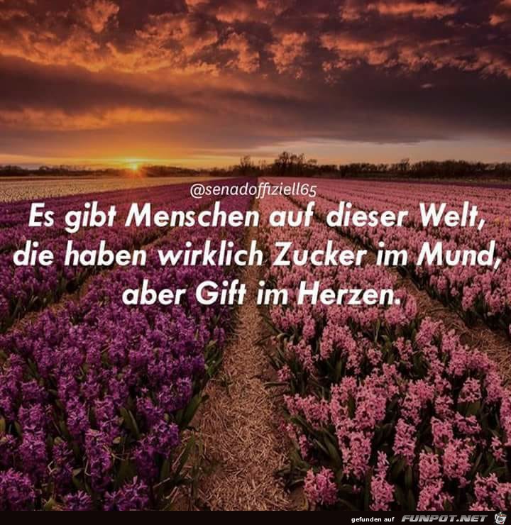 Es gibt immer 2 Seiten Es gibt immer 2 Seiten