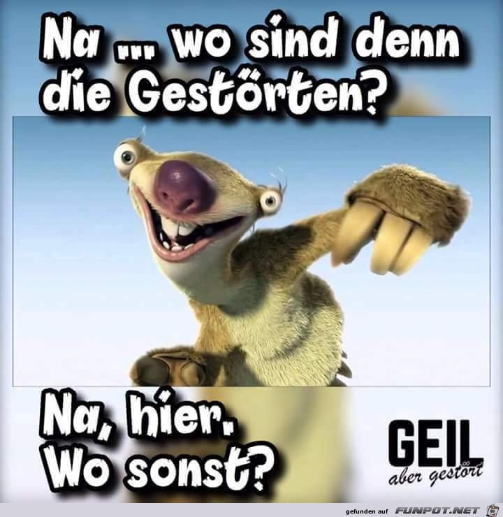 wo sind denn die Gestörten ? wo sind denn die Gestörten ?