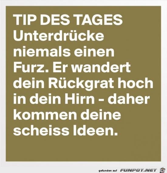 Tip des Tages Tip des Tages