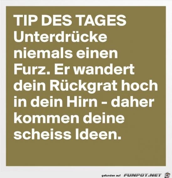 Tip des Tages