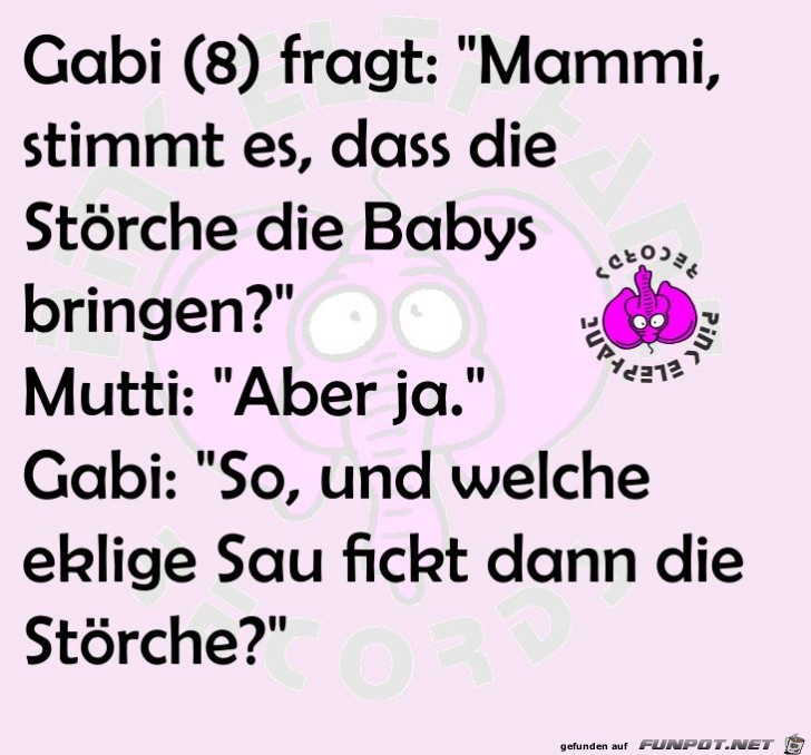 Stoerche Stoerche