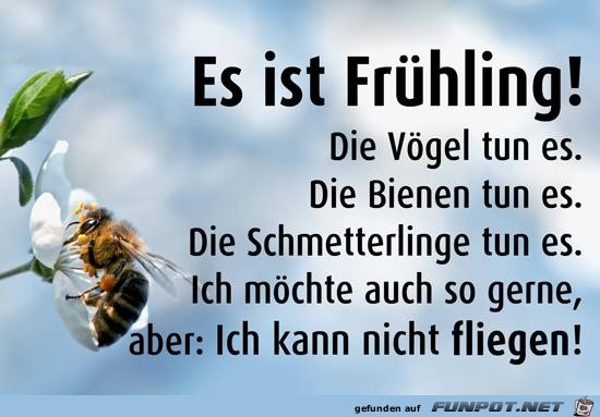 es ist Frhling.