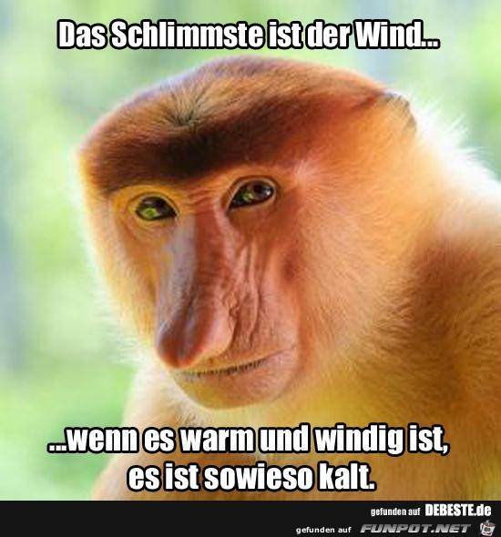 das Schlimmste ist der Wind..