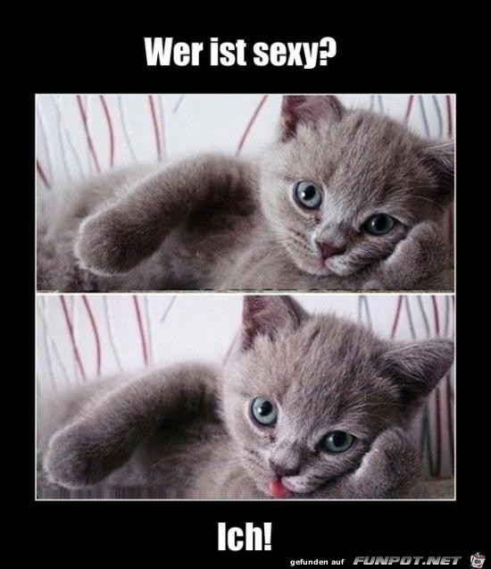 Stimmt Stimmt