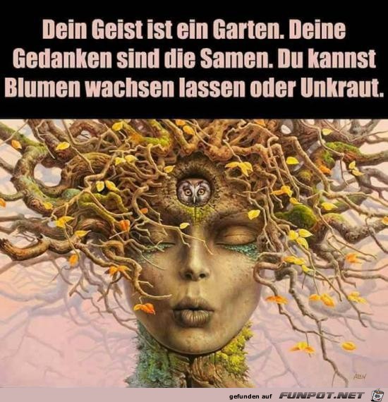 Blumen wachsen lassen Blumen wachsen lassen