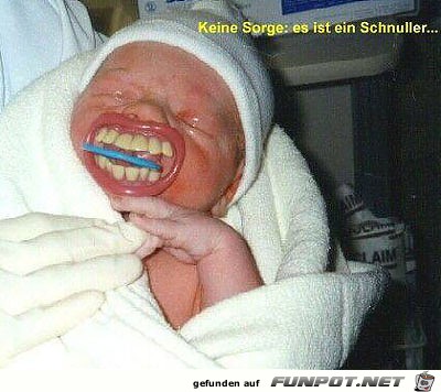 Schnuller Schnuller