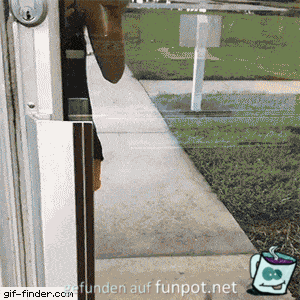 Hunde-Empfang Hunde-Empfang
