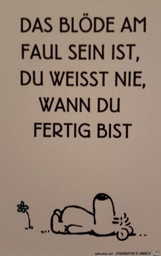 das blöde ist das blöde ist