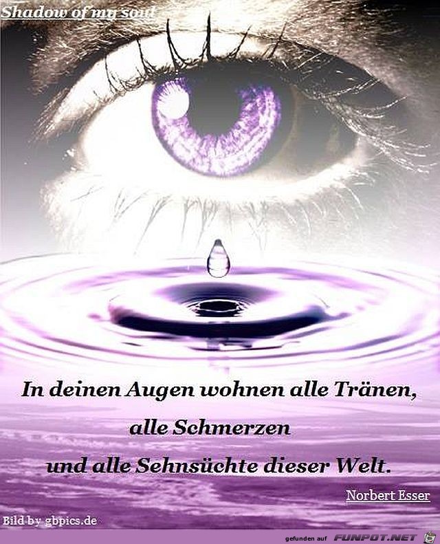 In Deinen Augen