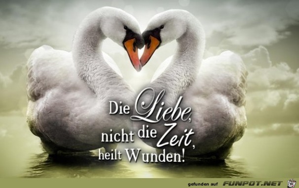 die-liebe-heilt-wunden