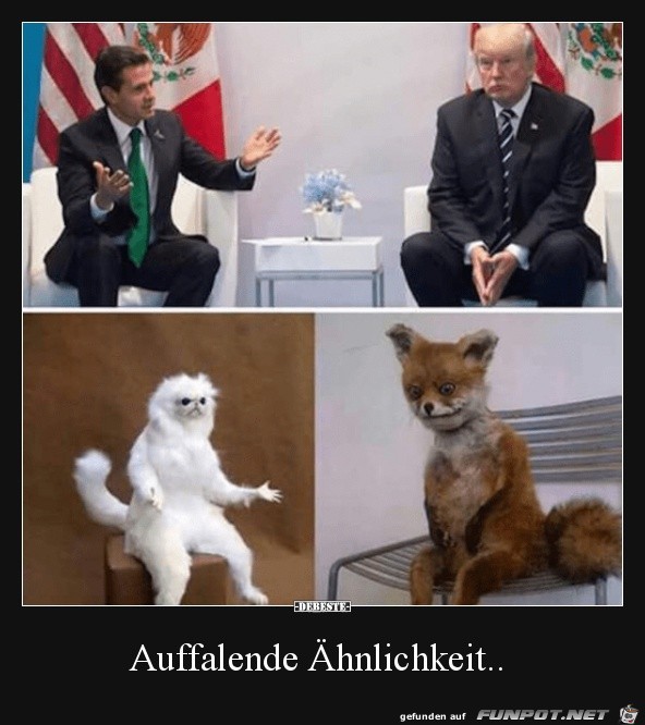 auffallende Ähnlichkeit.. auffallende Ähnlichkeit..