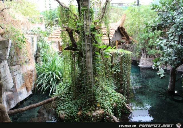 Impressionen aus Hagenbecks Aquarium Teil 2