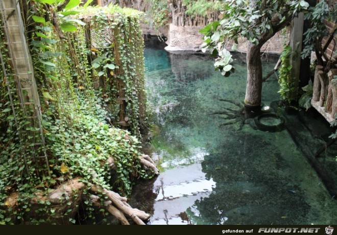 Impressionen aus Hagenbecks Aquarium Teil 2