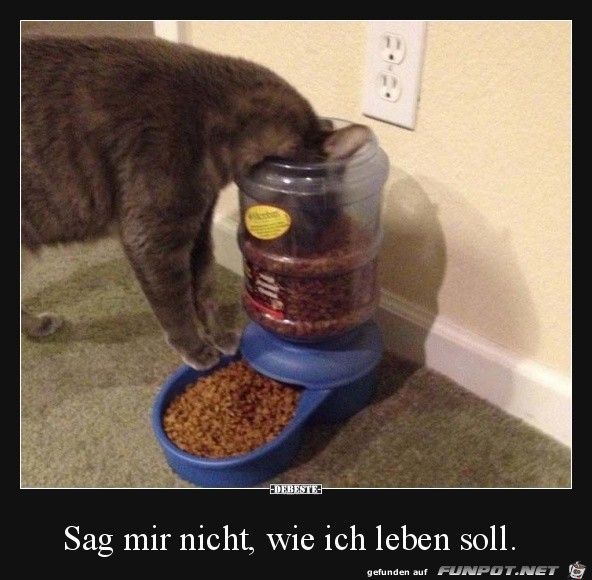 Falsch verstanden Falsch verstanden