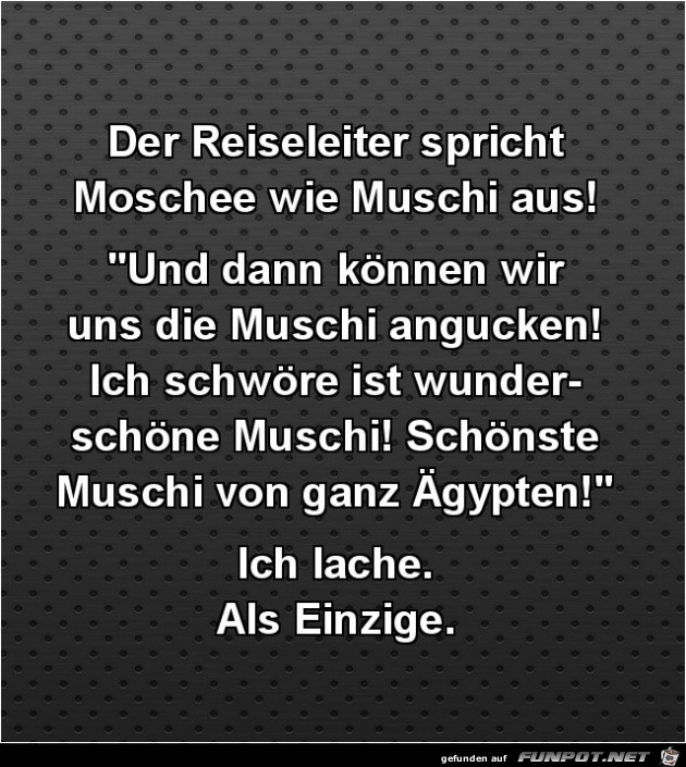 der Reiseleiter spricht.... der Reiseleiter spricht....