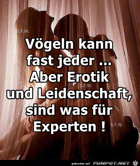Voegeln kann fast jeder Voegeln kann fast jeder