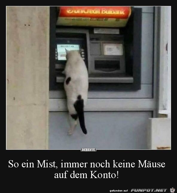 Keine Mäuse am Konto Keine Mäuse am Konto