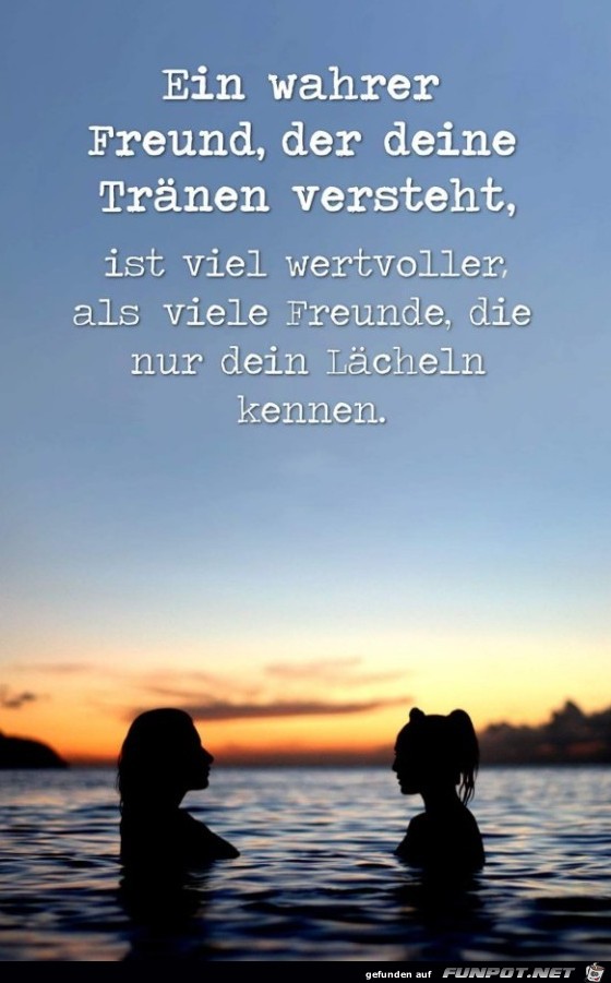 ein wahrer freund ein wahrer freund