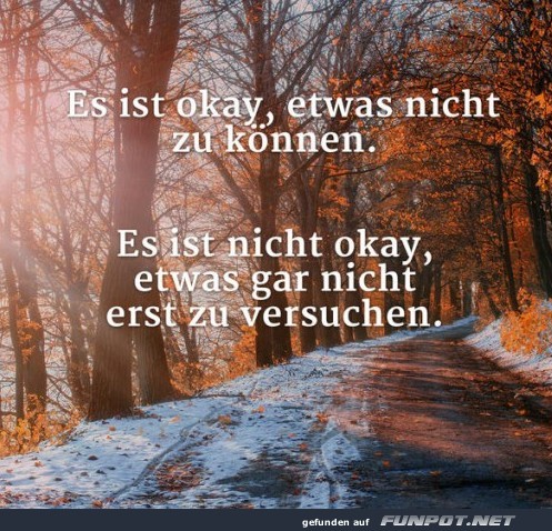 es is okay es is okay