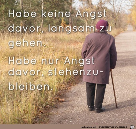 habe keine angst habe keine angst